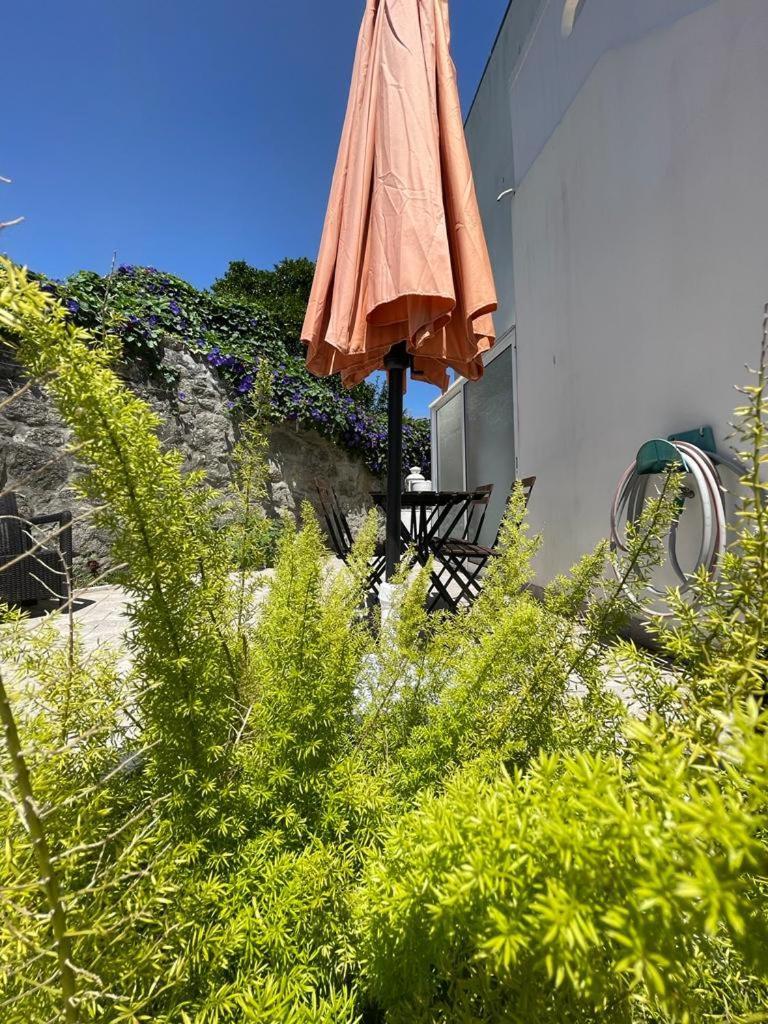 Burgaes II Apartment ポルト エクステリア 写真